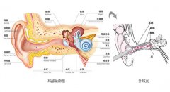 成都耳鼻喉医院告诉你宝宝患外耳炎怎么办？